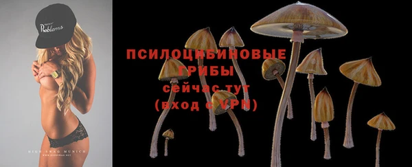 jwh Аркадак